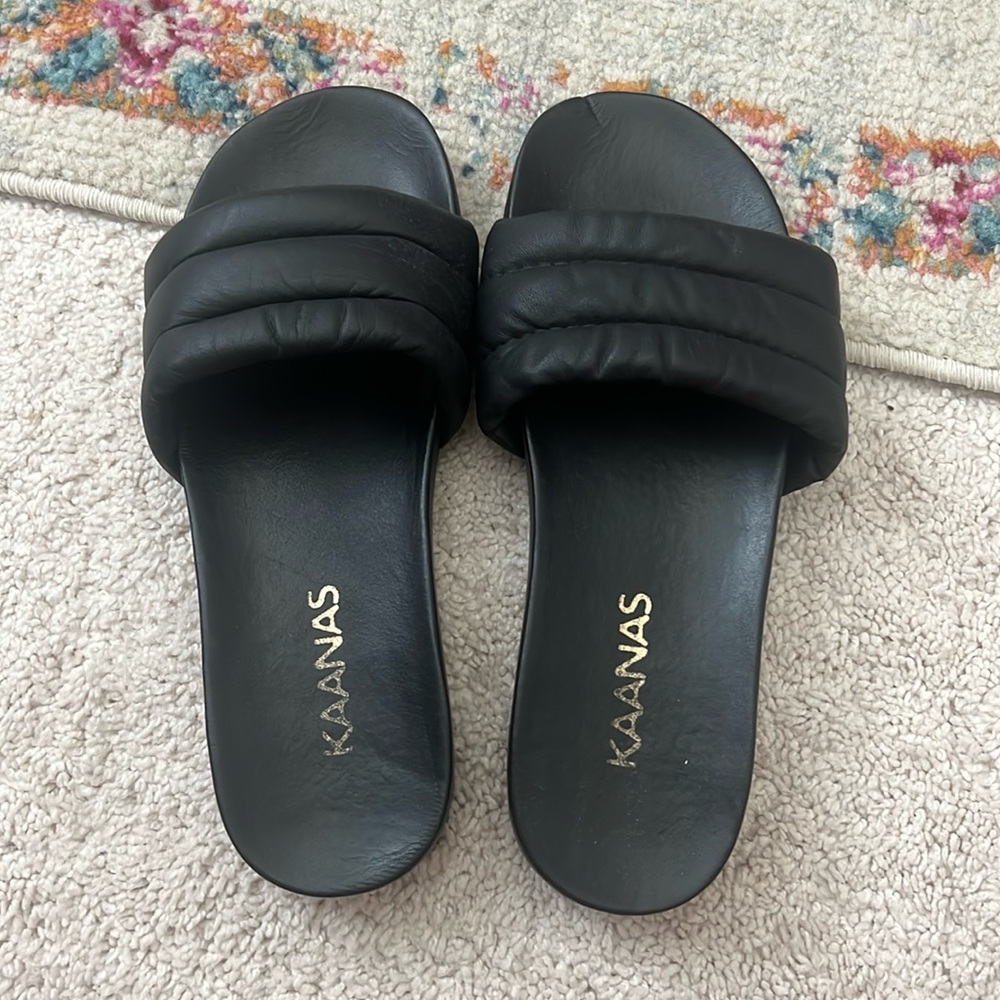 KAANAS slides
